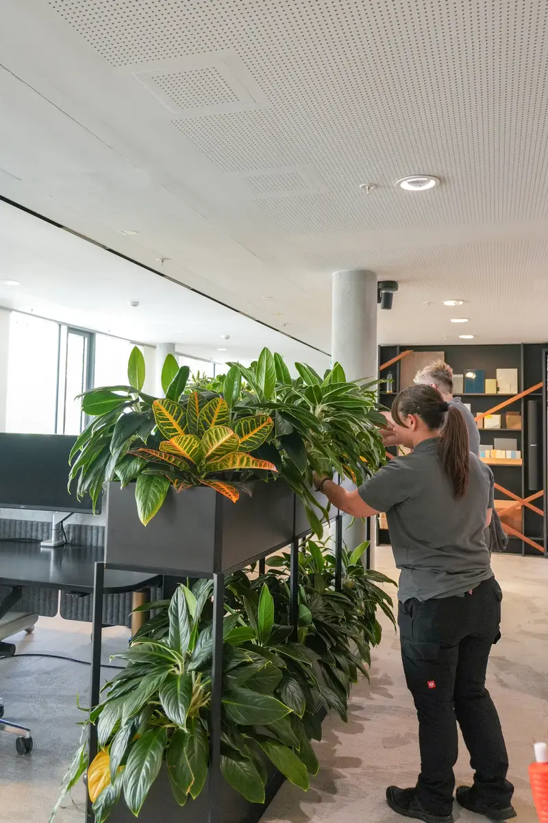 Modulares Pflanzregal im Office