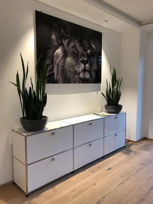 Bogenhanf auf Sideboard