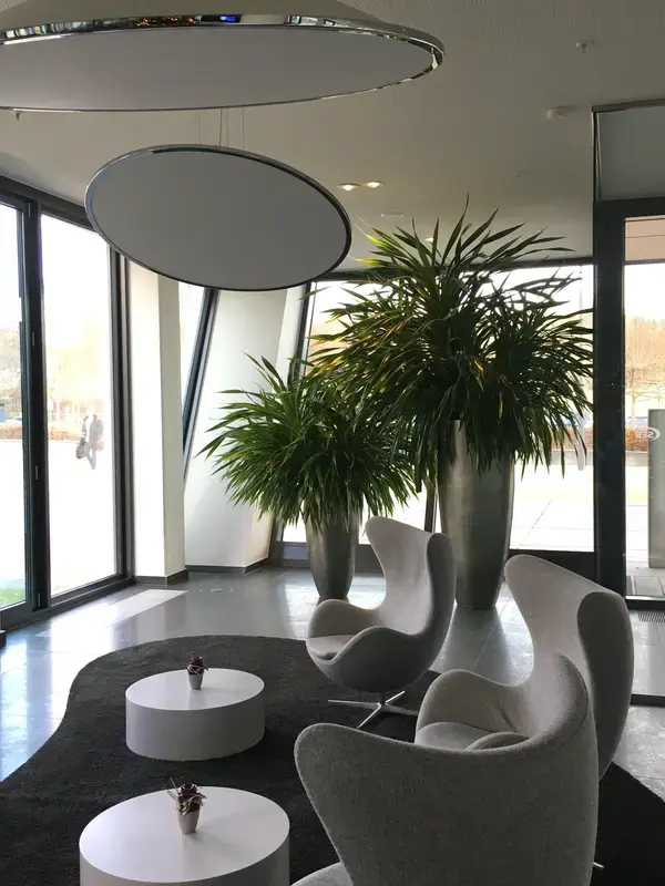 Empfangslounge mit Dracaena