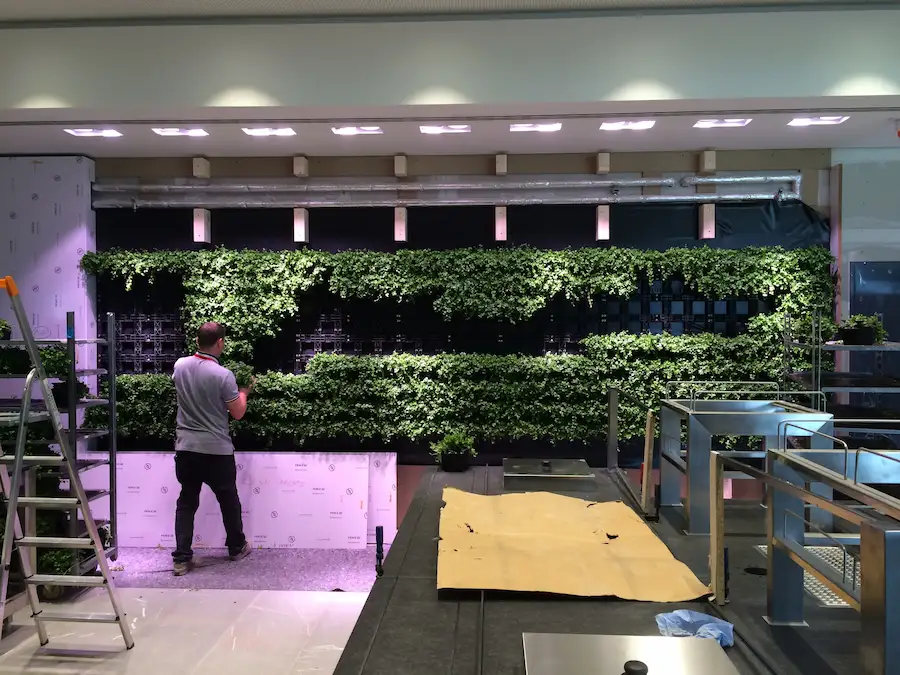 Vertikale Begrünung Projekt 5