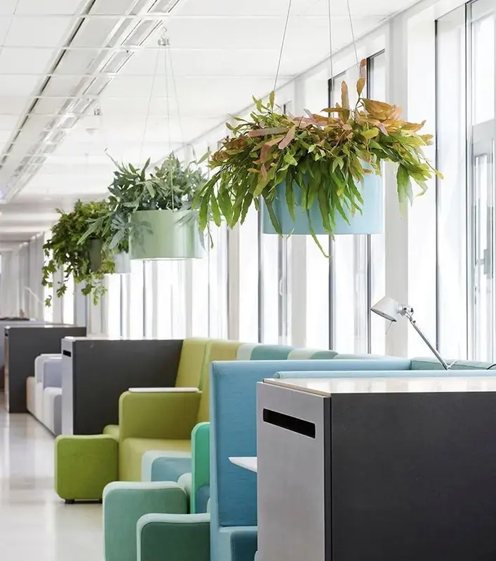 Hängende Pflanzgefäße in der Lounge