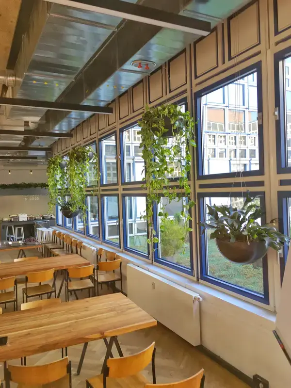 Hängepflanzen in der Kantine