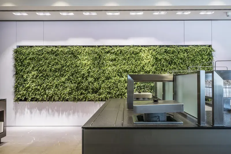 Living Wall in modernem Büro