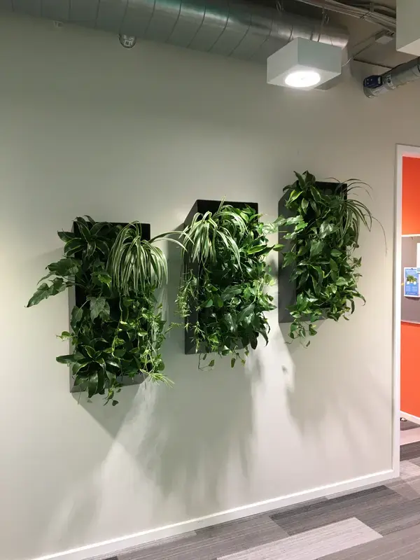 Raumhohe Installationen
